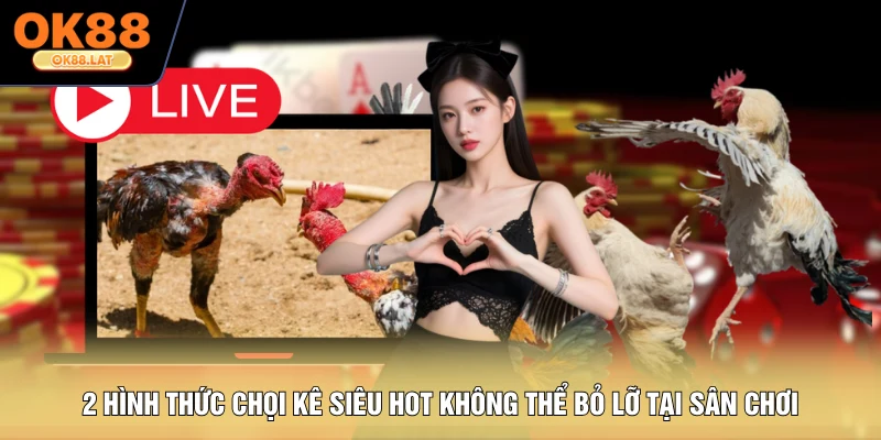 2 hình thức chọi kê siêu hot không thể bỏ lỡ tại sân chơi