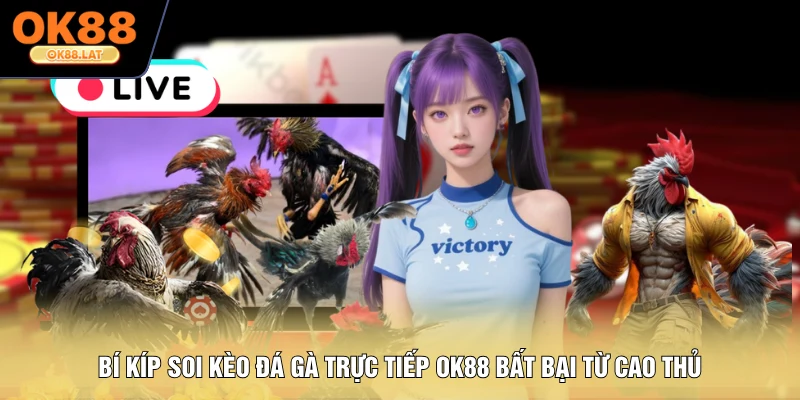 Bí Kíp Soi Kèo Đá Gà Trực Tiếp OK88 Bất Bại Từ Cao Thủ