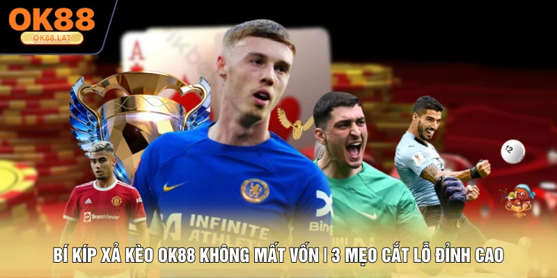 Bí Kíp Xả Kèo OK88 Không Mất Vốn | 3 Mẹo Cắt Lỗ Đỉnh Cao