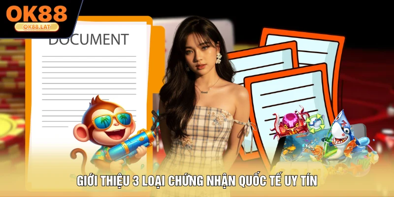 Giới thiệu 3 loại chứng nhận quốc tế uy tín