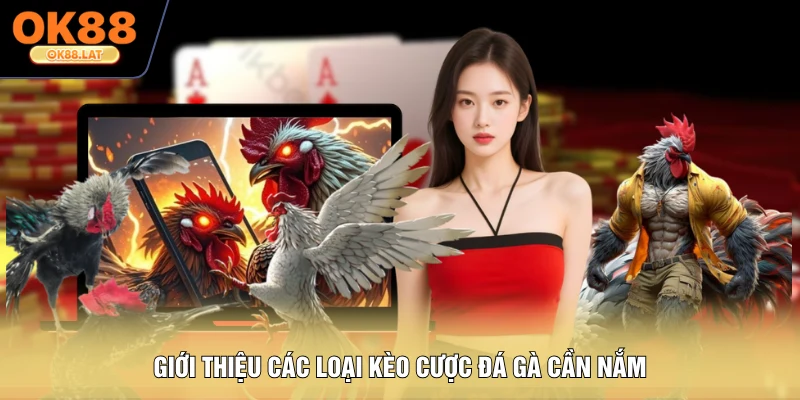 Giới thiệu các loại kèo cược đá gà cần nắm
