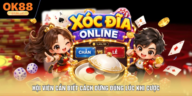 Hội viên cần biết cách dừng đúng lúc khi cược