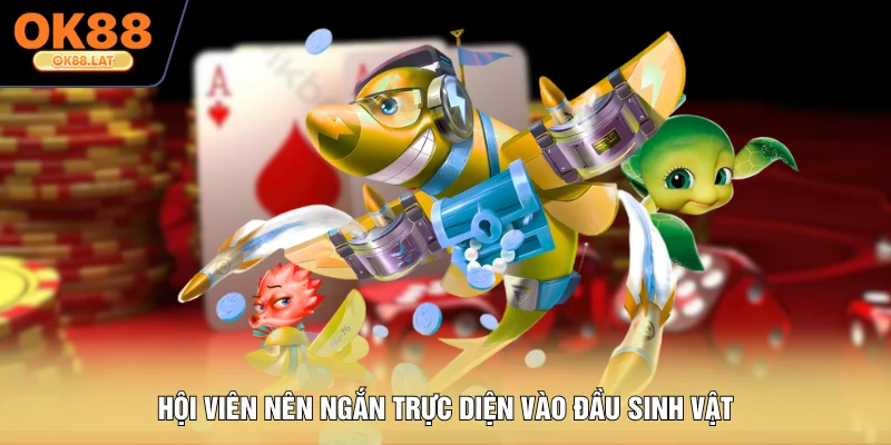 Hội viên nên ngắn trực diện vào đầu sinh vật