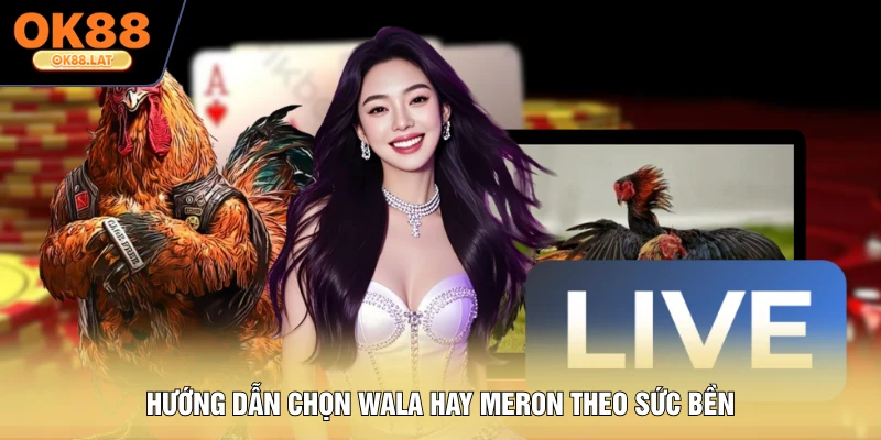 Hướng dẫn chọn Wala hay Meron theo sức bền