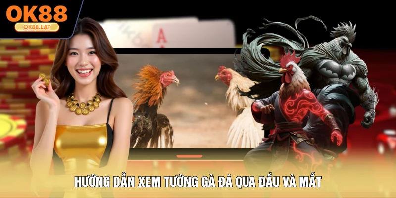 Hướng dẫn xem tướng gà đá qua đầu và mắt