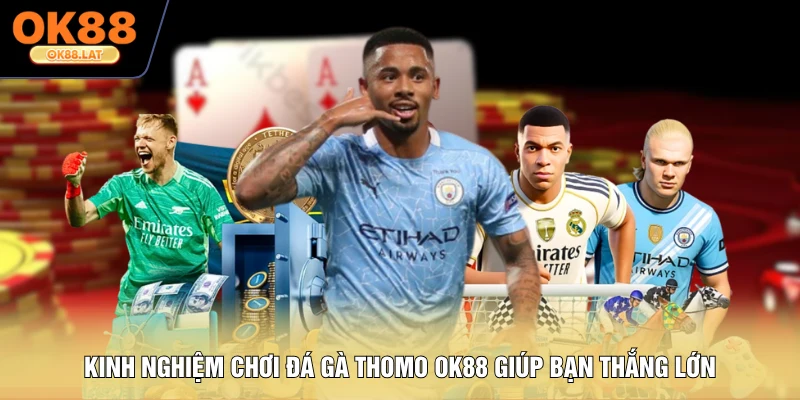 Kinh Nghiệm Chơi Đá Gà Thomo OK88 Giúp Bạn Thắng Lớn