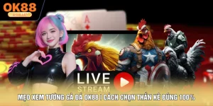 Mẹo Xem Tướng Gà Đá OK88 | Cách Chọn Thần Kê Đúng 100%