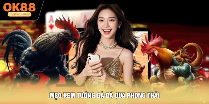 Mẹo xem tướng gà đá qua phong thái
