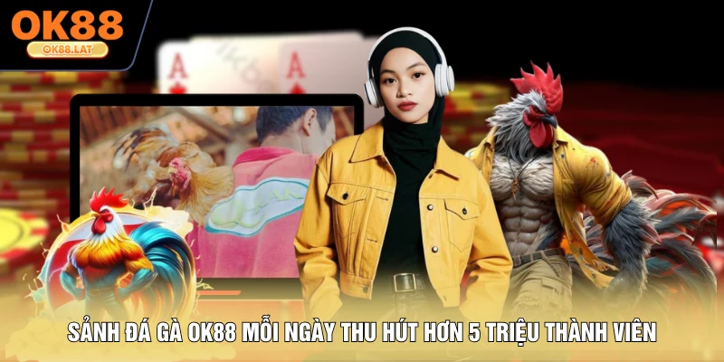 Sảnh đá gà OK88 mỗi ngày thu hút hơn 5 triệu thành viên