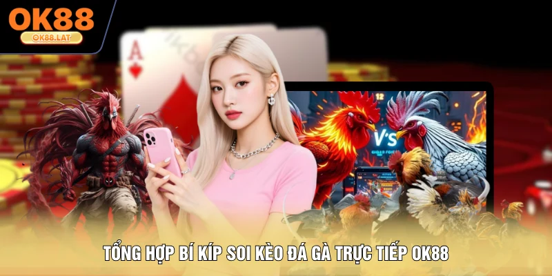 Tổng hợp bí kíp soi kèo đá gà trực tiếp OK88
