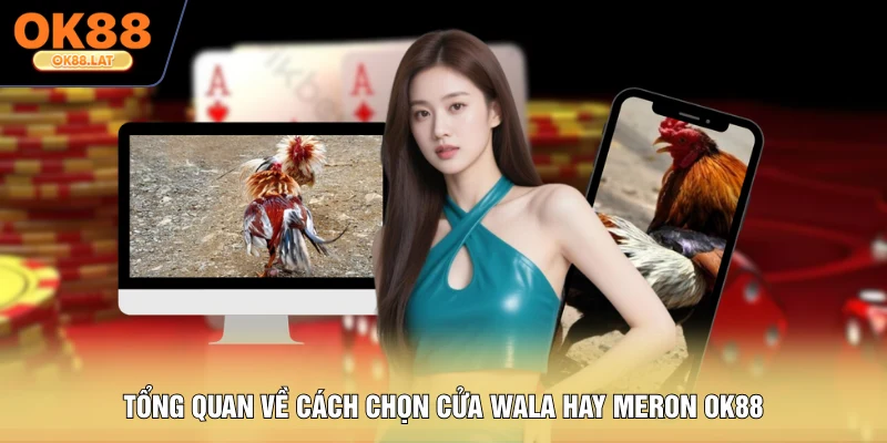 Tổng quan về cách chọn cửa Wala hay Meron OK88