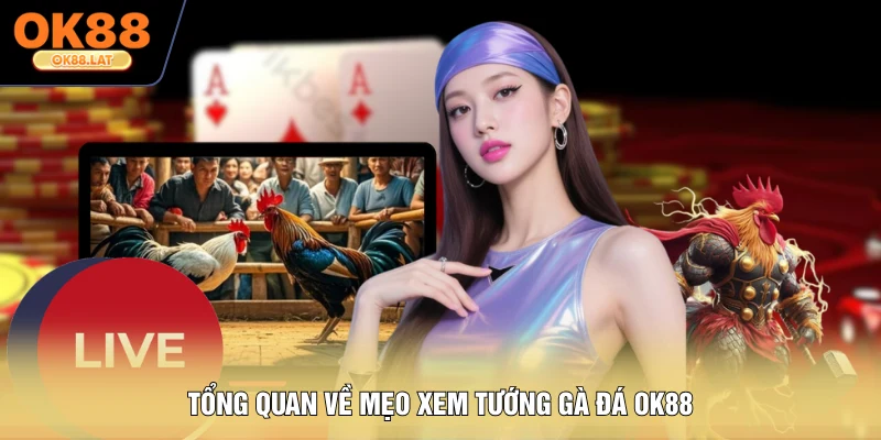 Tổng quan về mẹo xem tướng gà đá OK88