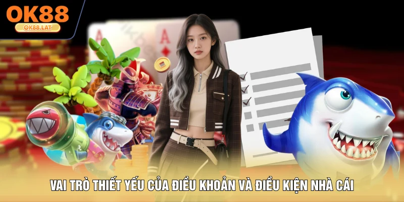 Vai trò thiết yếu của điều khoản và điều kiện nhà cái